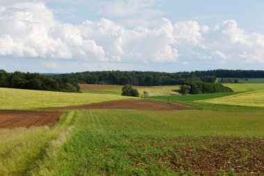 Baden-Wuerttemberg yakınlarındaki Hohenlohe Manzarası, Almanya, Avrupa.