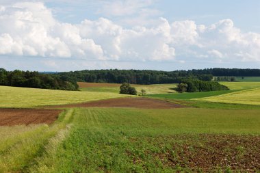 Baden-Wuerttemberg yakınlarındaki Hohenlohe Manzarası, Almanya, Avrupa.
