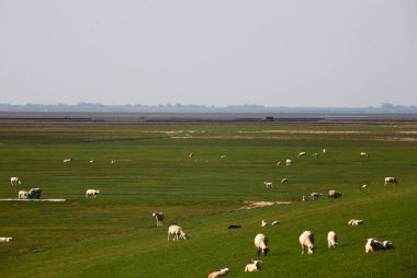 Almanya, Avrupa 'daki Yarımada Nordstrand.