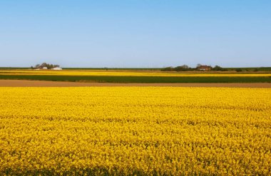 Almanya, Avrupa 'daki Yarımada Nordstrand.