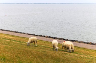 Almanya, Avrupa 'daki Yarımada Nordstrand.