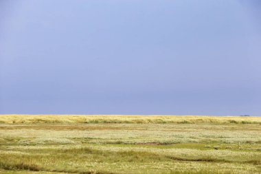 Almanya, Avrupa 'daki Yarımada Nordstrand.