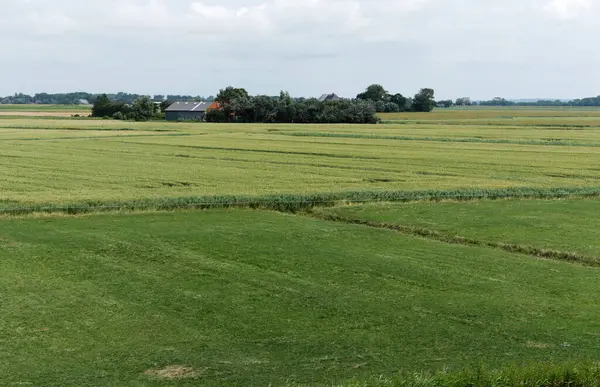 Almanya, Avrupa 'daki Yarımada Nordstrand.