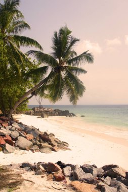 Anse Lazio, Praslin, Seyşeller, Hint Okyanusu, Afrika