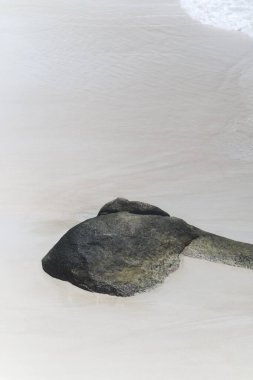 Anse Lazio, Praslin, Seyşeller, Hint Okyanusu, Afrika