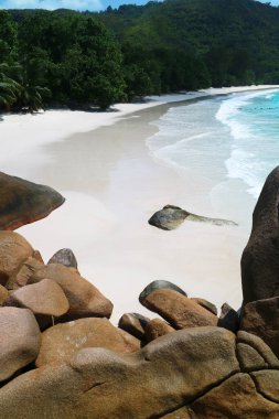 Anse Lazio, Praslin, Seyşeller, Hint Okyanusu, Afrika