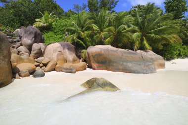 Anse Lazio, Praslin, Seyşeller, Hint Okyanusu, Afrika