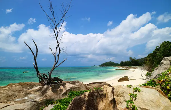 Praslin Plajı, Anse Kerlan, Seyşeller, Hint Okyanusu, Arica