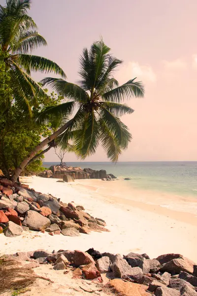 Anse Lazio, Praslin, Seyşeller, Hint Okyanusu, Afrika