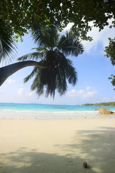 Strand Anse Lazio, Praslin, Seyşellen, Afrika, Indischer Ozean