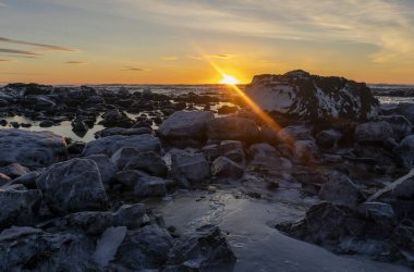 Snaefellsnes Yarımadası, İzlanda, Avrupa 'daki Ytri Tunga Plajı