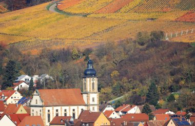 Sonbaharda bağlar, Wartberg, Heilbronn, Baden-Wuerttemberg, Almanya, Avrupa manzarası