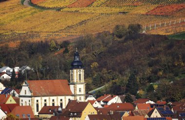 Vineyards in Autumn, View from the Wartberg, Heilbronn, Baden-Wuerttemberg, Germany, Europe clipart