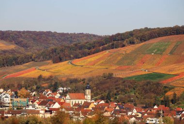 Vineyards in Autumn, View from the Wartberg, Heilbronn, Baden-Wuerttemberg, Germany, Europe clipart