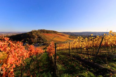 Vineyards in Autumn, View from the Wartberg, Heilbronn, Baden-Wuerttemberg, Germany, Europe clipart