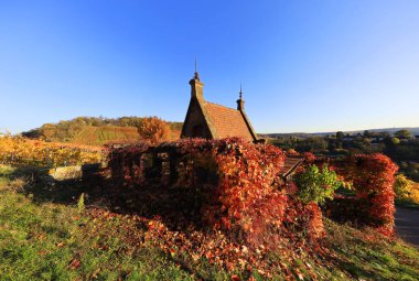 Sonbaharda bağlar, Wartberg, Heilbronn, Baden-Wuerttemberg, Almanya, Avrupa manzarası