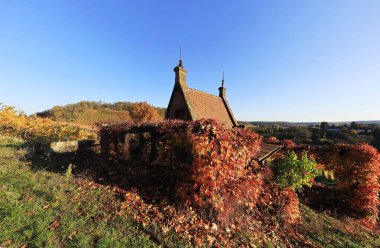 Vineyards in Autumn, View from the Wartberg, Heilbronn, Baden-Wuerttemberg, Germany, Europe clipart