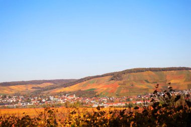 Vineyards in Autumn, View from the Wartberg, Heilbronn, Baden-Wuerttemberg, Germany, Europe clipart