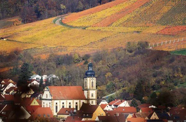 Sonbaharda bağlar, Wartberg, Heilbronn, Baden-Wuerttemberg, Almanya, Avrupa manzarası