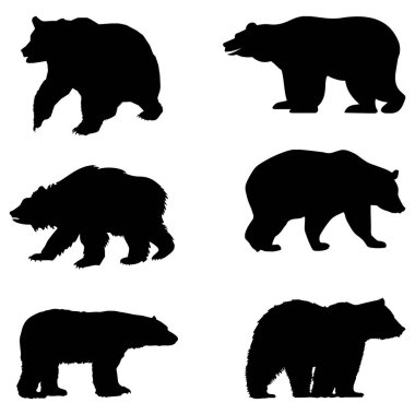 silhouettes of bears . various bear silhouettes on the white background