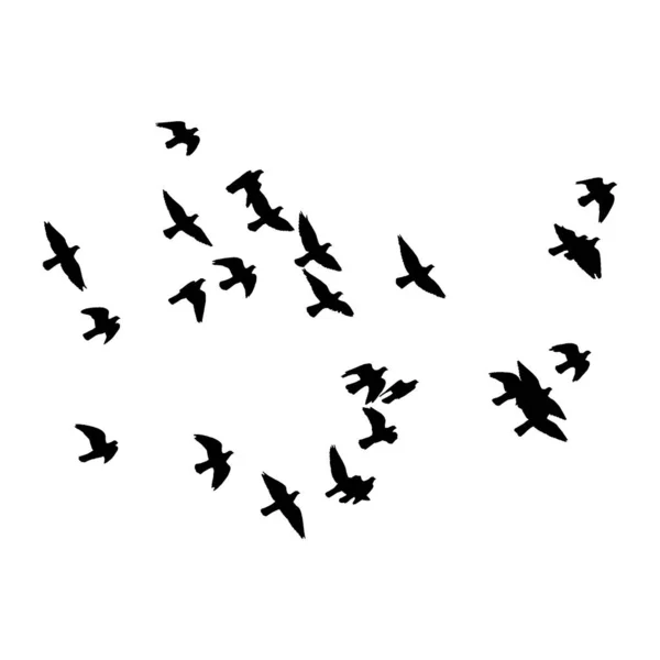 Flying Birds Silhouette White Background Vector Illustration Isolated Bird Flying — Stock Vector