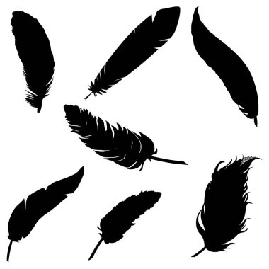 set of feather silhouette vector . silhouette of bird feather