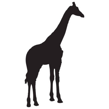 giraffe silhouette vector isolated on white background