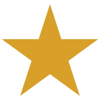 Golden star icon vector illustration isolated on white background
