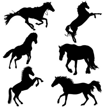 horse silhouettes set . Horse collection - vector silhouette