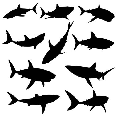 Shark silhouettes set vector illustration