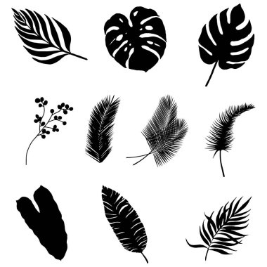 Beyaz arkaplanda izole edilmiş yaprak siluetleri