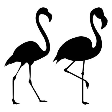 Flamingo silueti, vektör. Flamingo silueti siyah olarak ayarlandı