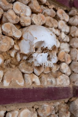 Kemik duvarında bir insan kafatası