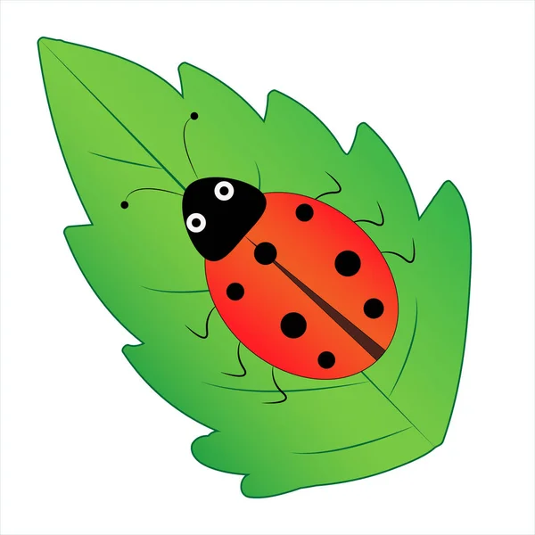 Funny Ladybug Sits Leaf Vector Illustration Isolated White Background Childish — Stock Vector