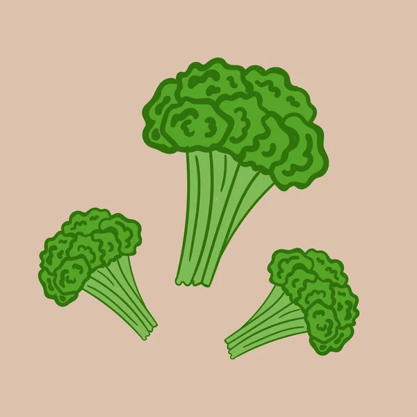 Broccoli Cibo Sano Vegetarianismo Ingredienti Insalata Icona Isolato — Vettoriale Stock