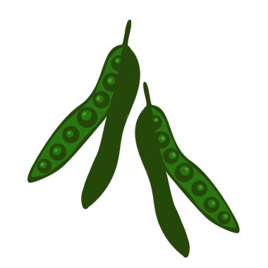 Peas.Vektör görüntüsü. Beyaz bir arkaplanda izole edilmiş. Sağlıklı yemek ikonları serisi. Bahçe. Çiftlik ve çiftçilik. hasat festivali