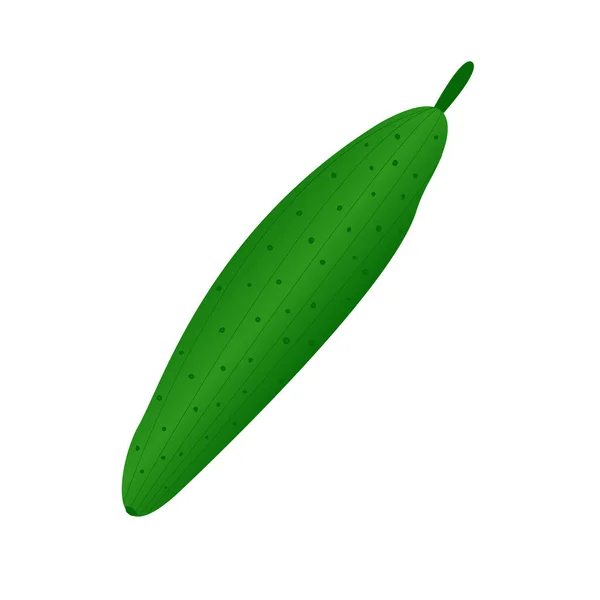 Зеленый Огурец Белом Фоне Векторное Изображение Семена Сбора Урожая Овощей — стоковый вектор