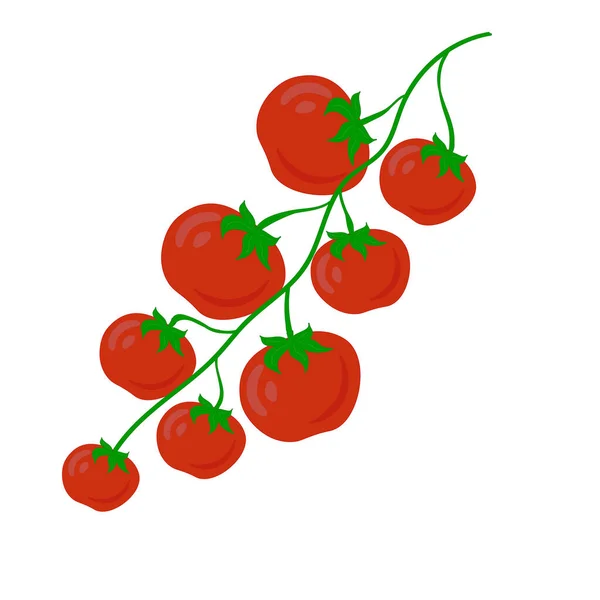 Rama Tomates Cherry Pequeños Imagen Vectorial Aislado Sobre Fondo Blanco — Archivo Imágenes Vectoriales