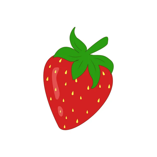 Fresh Juicy Strawberries Vector Illustration Icon Isolated White Background Summer — Stock Vector