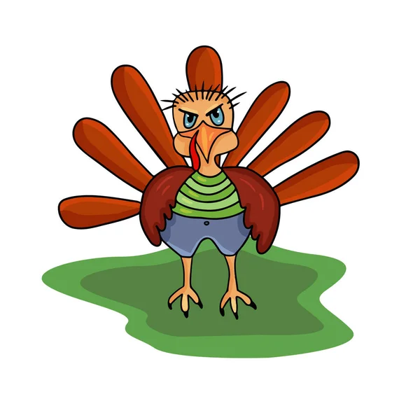 Funny Bird Turkey Sly Look Striped Shirt Pants Illustration Children — Stock Vector