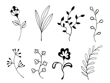 Elle çizilmiş botanik elementlerin karalama tarzında koleksiyonu. Çiçek dalları, yaprakları ve çiçekleri asgari siyah beyaz çizgili. Tebrik kartları, düğün davetiyeleri, çıkartmalar, logolar, ambalajlar için mükemmel.