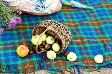 elmalar ve eriklerle piknik
