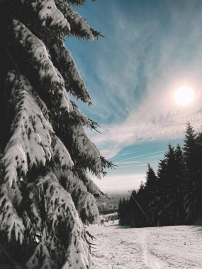 dağlarda karlı kış 