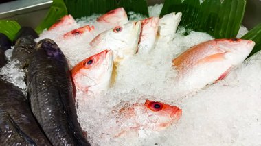 taze balık Market buz üstünde