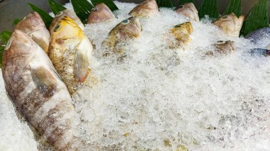 taze balık Market buz üstünde