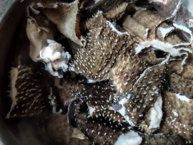 İşkembe bir hayvanın midesinin yenilebilir iç kısmıdır, özellikle de bir ineğin. Soto babat veya gulai babat gibi Endonezya mutfağında işkembe sıklıkla kullanılır ve favori sakatat olarak bilinir..