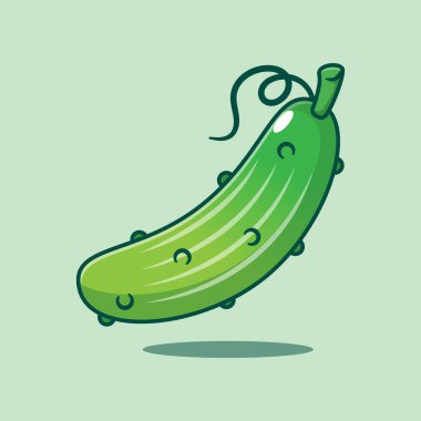 Salatalığın vektör çizimi