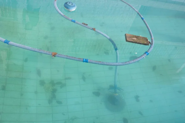 Blue water of swimming pool in winter, robot and chlorine float. Piece of wood to avoid breakage by conjellation in possible frosts. Soil dirty with leaves