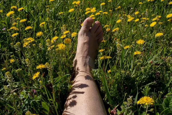 Kadının Ayağı Bahar Çiçeklerinin Üzerinde Dinleniyor Bacağı Dizinin Altında Çıplak — Stok fotoğraf