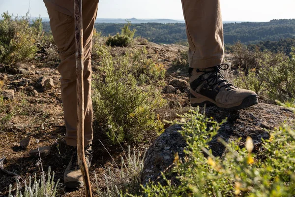 detail of feet with hiking boots on the top of a mountain where a wide landscape can be glimpsed. and cane made of a piece of tree branch.